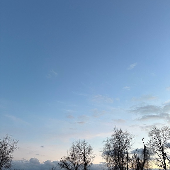 Meet your Posher, Jacquie - Picture 1 of 1